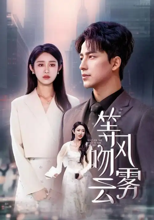 罪案剧集长夜回声在线视频封面